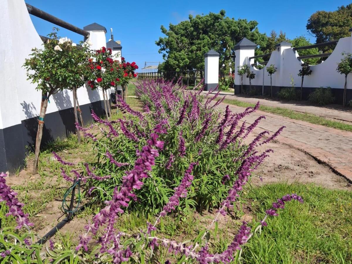 דירות ג'ורג' Dunkes Organic Equestrian Estate מראה חיצוני תמונה