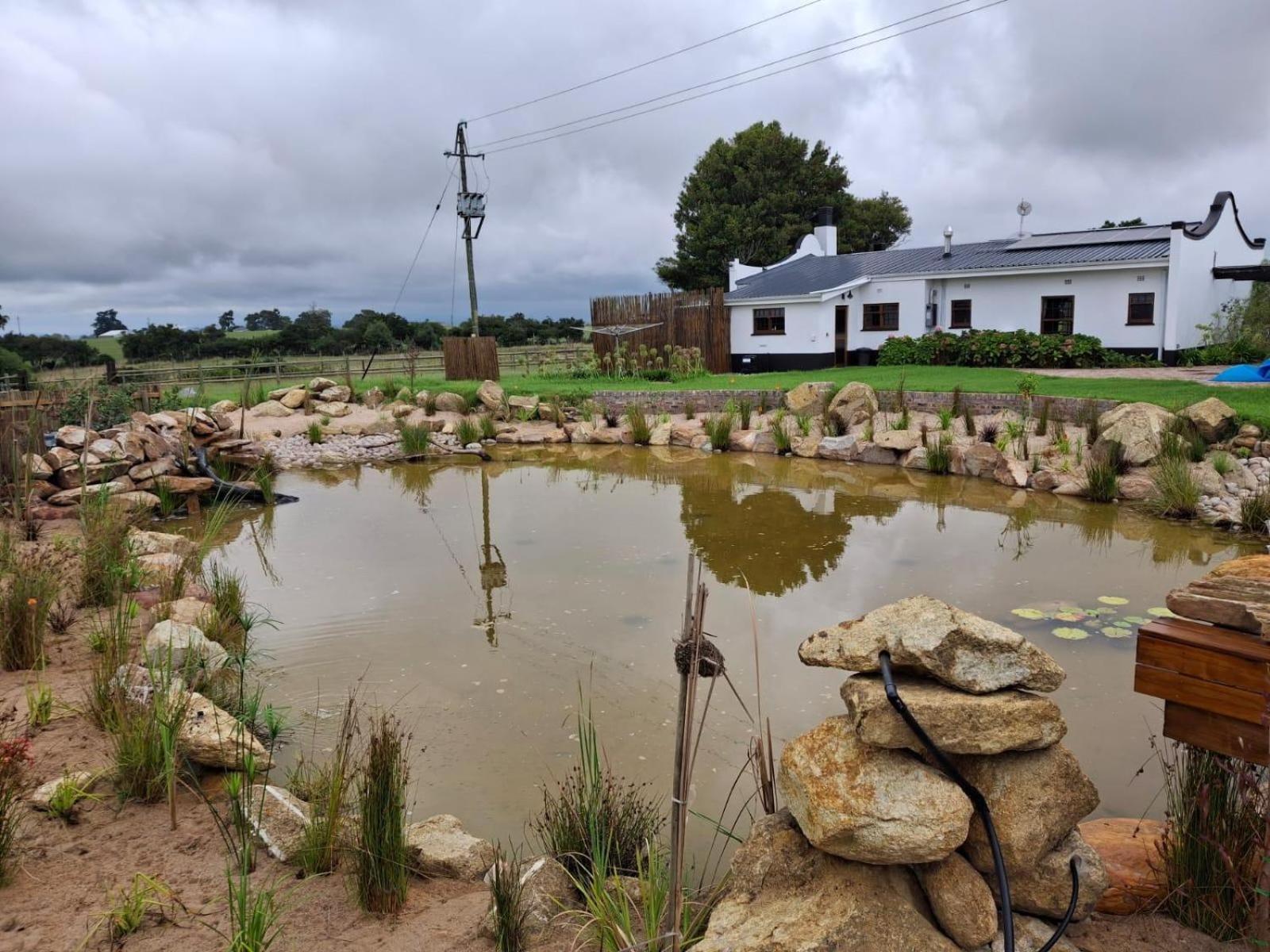 דירות ג'ורג' Dunkes Organic Equestrian Estate חדר תמונה